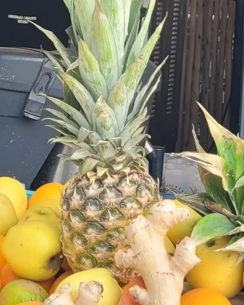 Ananas, citrons, oranges et gingembre sur le comptoir du bar