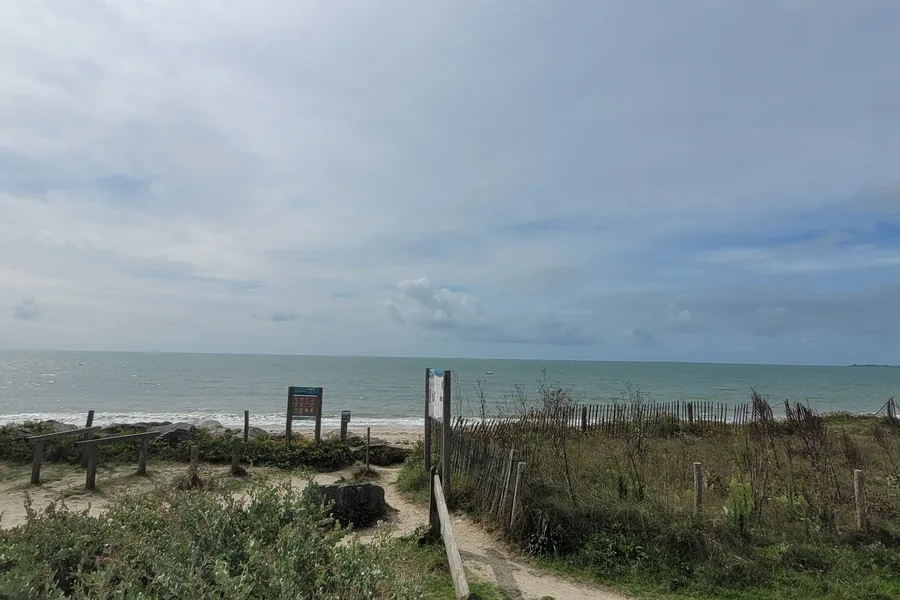 Vue depuis la terrasse du Sunset : le chemin de sable vers la plage, entre la dune et les ganivelles, puis la mer